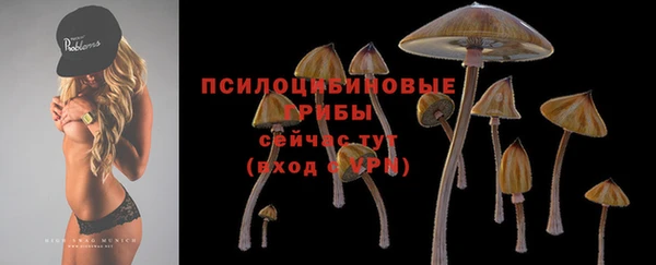 не бодяженный Гусиноозёрск